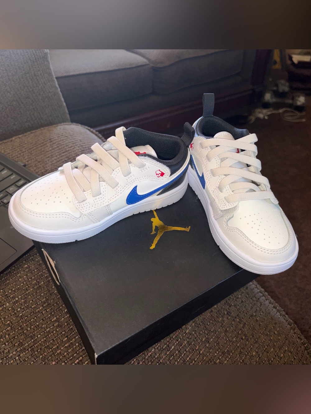 Jordan 1 Low Alt